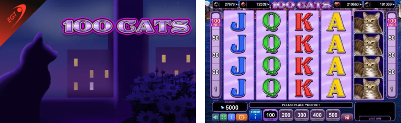 100 Cats Slot game