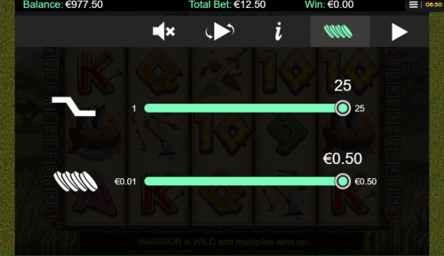 Setting Your Total Bet in 300 Shields