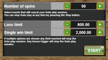 Auto Spin function in Bonanza slot