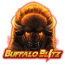 Buffalo Blitz