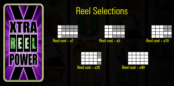 The Buffalo slot by Aristocrat has a special feature - Xtra Reel Power