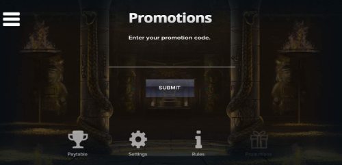 Promotion code section