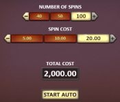 Autoplay function in Gold Canyon slot
