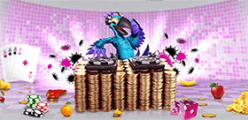 Daily & Monthly deals and outgoing promotions
