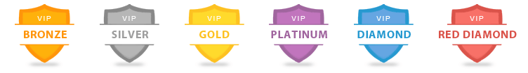The PlayMillion casino VIP program consists of six different levels
