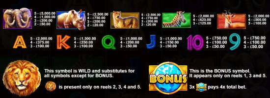 Every symbol in Safari King slot has his own feature