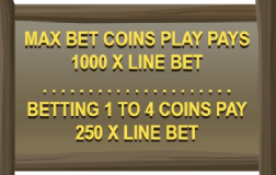 Bet options in Ugga Bugga slot