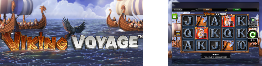 Viking Voyage Slot review